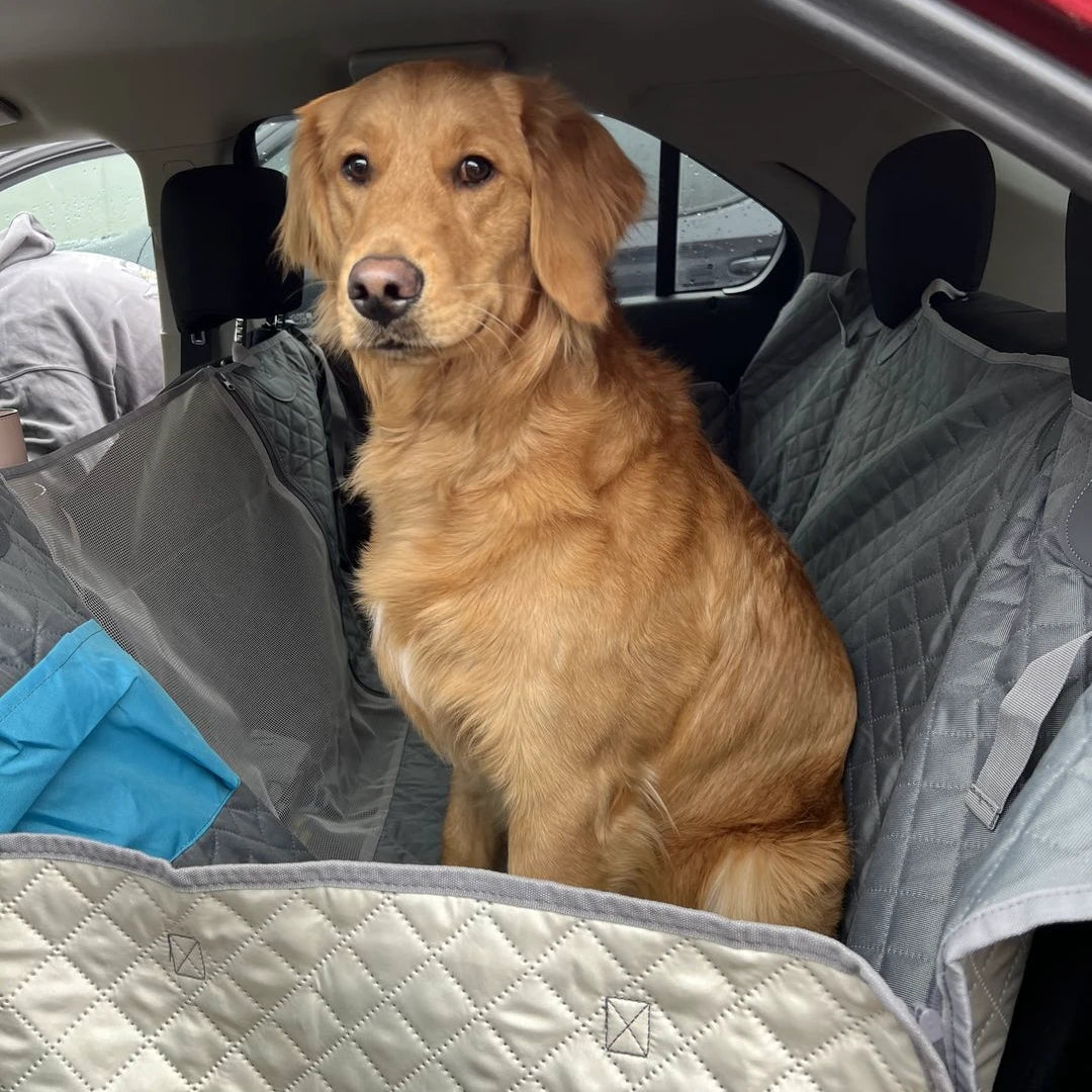 Team k9 2024 car seat cover