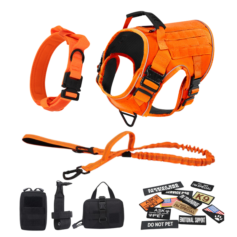 The Same Harness That Changed Gabriel's Life