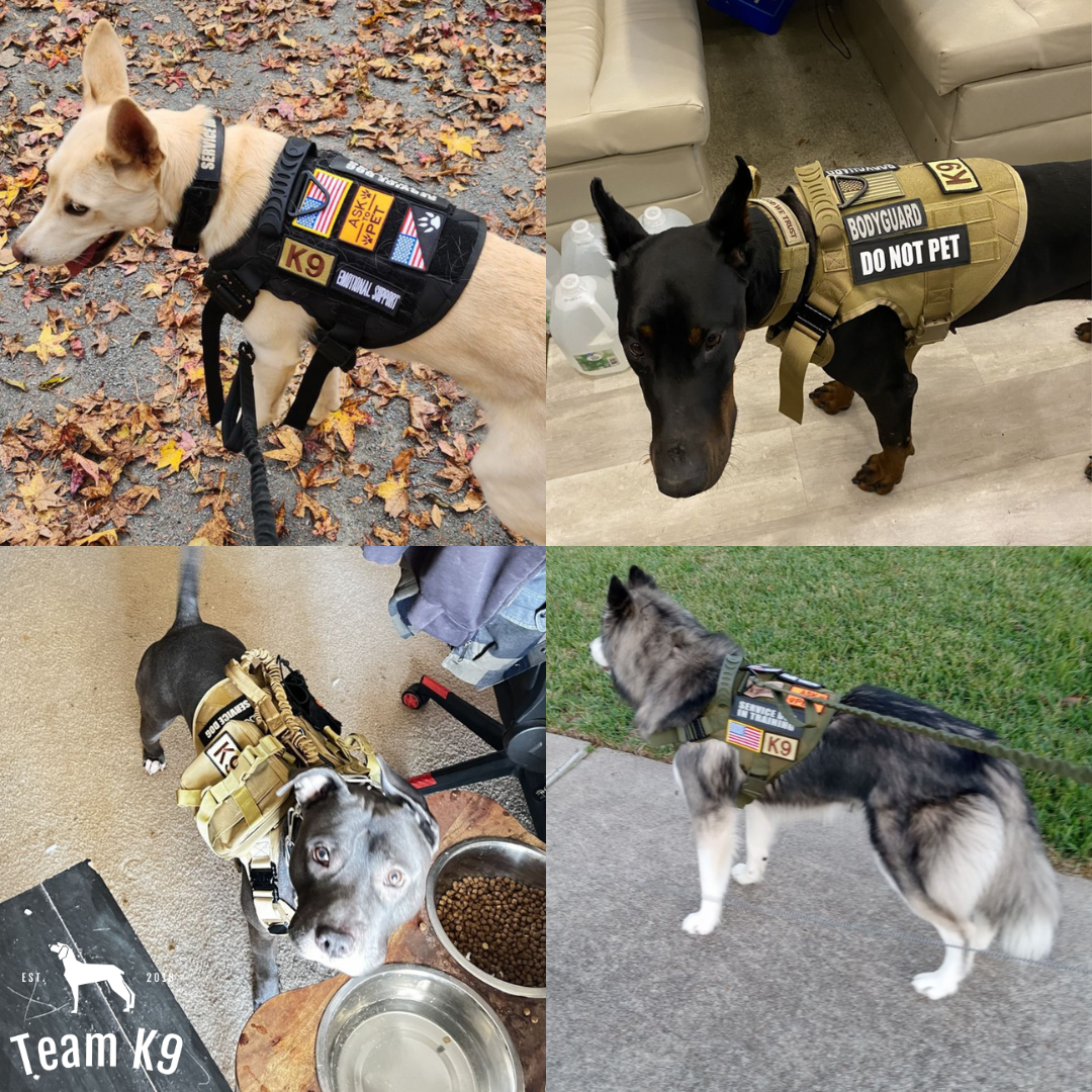 NEW Upgraded Heavy-Duty Tactical No-Pull Team K9™ Dog Harness With Front & Back D-Rings, Quick-Release Metal-Buckles, Hook & Loop Panels, & Top Handle