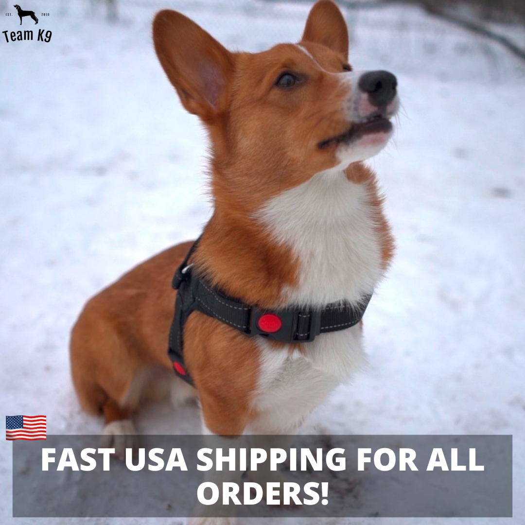 Classic Adjustable No-Choke Dog Safety Harness