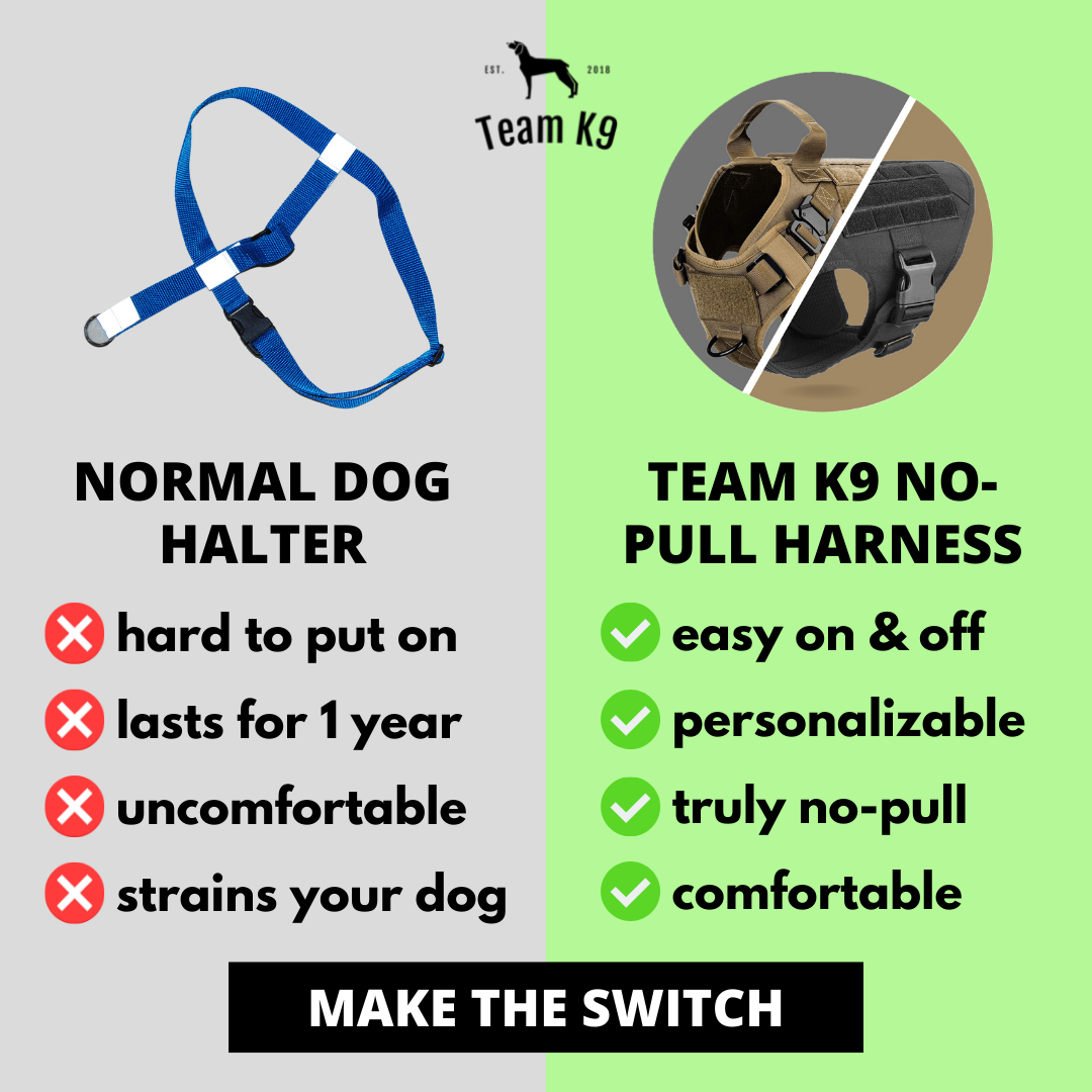 NEW Upgraded Heavy-Duty Tactical No-Pull Team K9™ Dog Harness With Front & Back D-Rings, Quick-Release Metal-Buckles, Hook & Loop Panels, & Top Handle