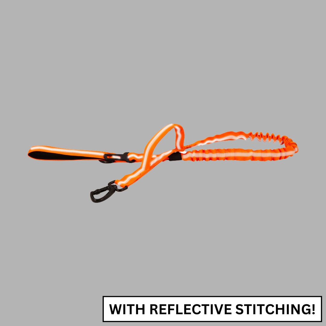 Heavy-Duty Double-Handle Tactical Bungee K9 Dog Leash with Padded Handles, Seatbelt Attachment, & Reinforced Swivel Clip