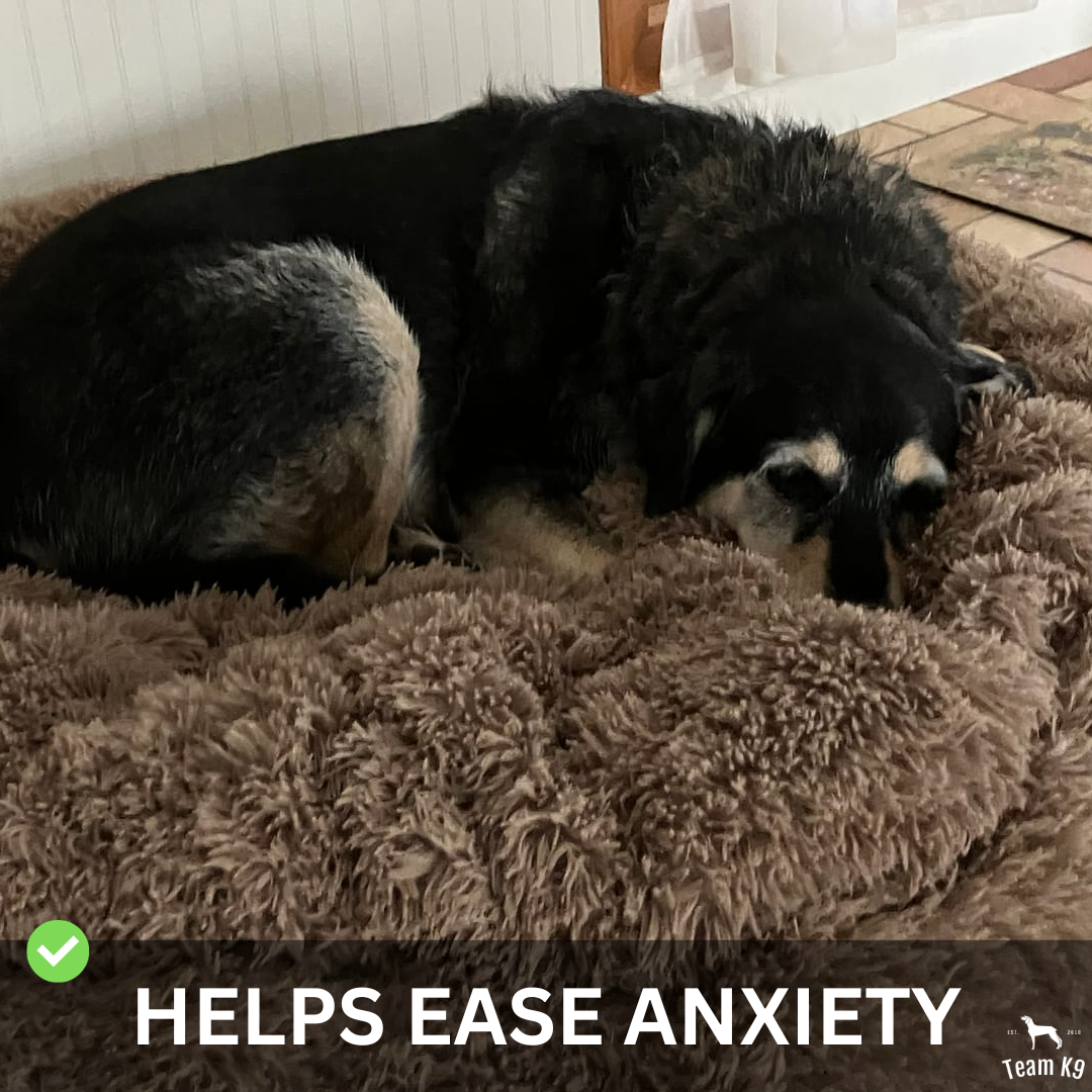 Ultra-Plush Calming Dog Bed