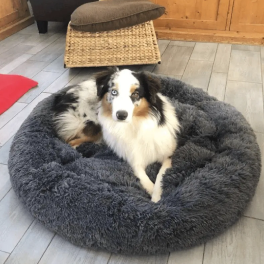 Ultra-Plush Calming Dog Bed