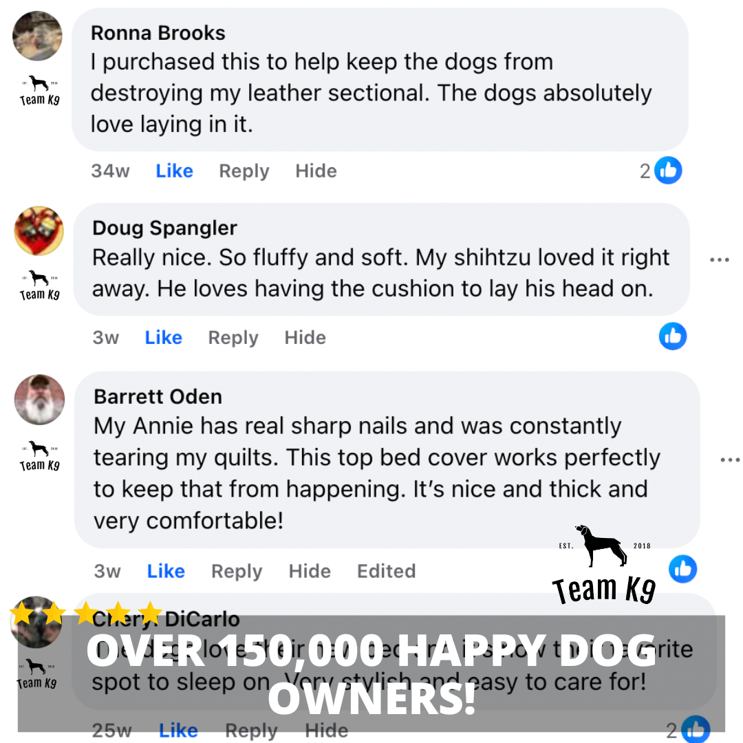 NEW 2-in-1 Furniture Protector & Dog Bed Couch Cover with Thick Orthopedic Padding, Non-Slip Grip, Scratch-Resistant Surface & Machine-Washable Fabric