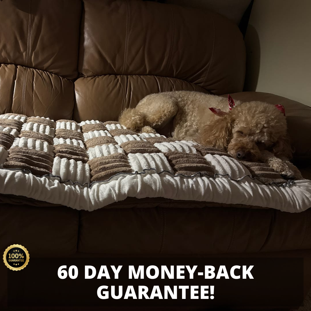 NEW 2-in-1 Furniture Protector & Dog Bed Couch Cover with Thick Orthopedic Padding, Non-Slip Grip, Scratch-Resistant Surface & Machine-Washable Fabric