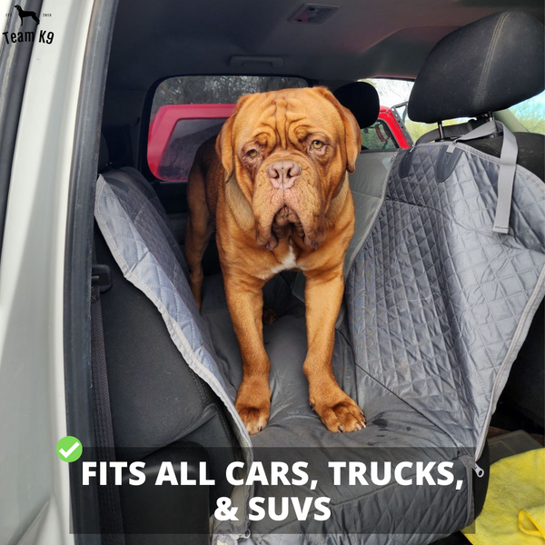 Waterproof Non-Slip Car Seat Hammock Cover With Pockets, Side Flaps, Headrest Straps, Seat-Anchors, & Mesh Window (+FREE SAFETY BELT!)