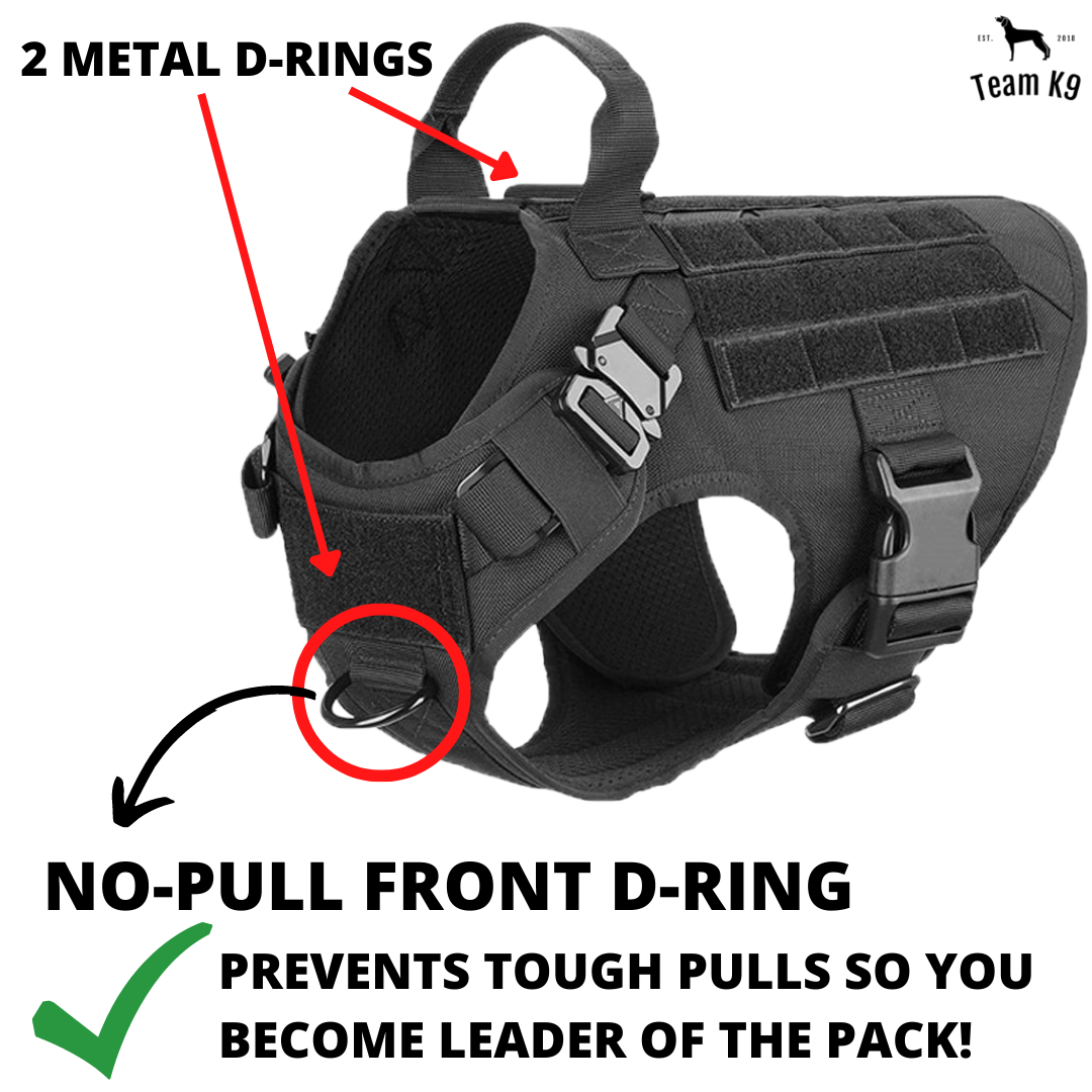 10-In-1 Tactical K9 Harness System - Full Set Dog Harness Bundle (Includes: Tactical No-Pull Dog Harness + Bungee Leash + Collar + MOLLE Pouches + First Aid Kit + 12 Hook & Loop Patches + Dog Goggles + Safety Belt + Travel Water Bowl + Dog Waste Bags)