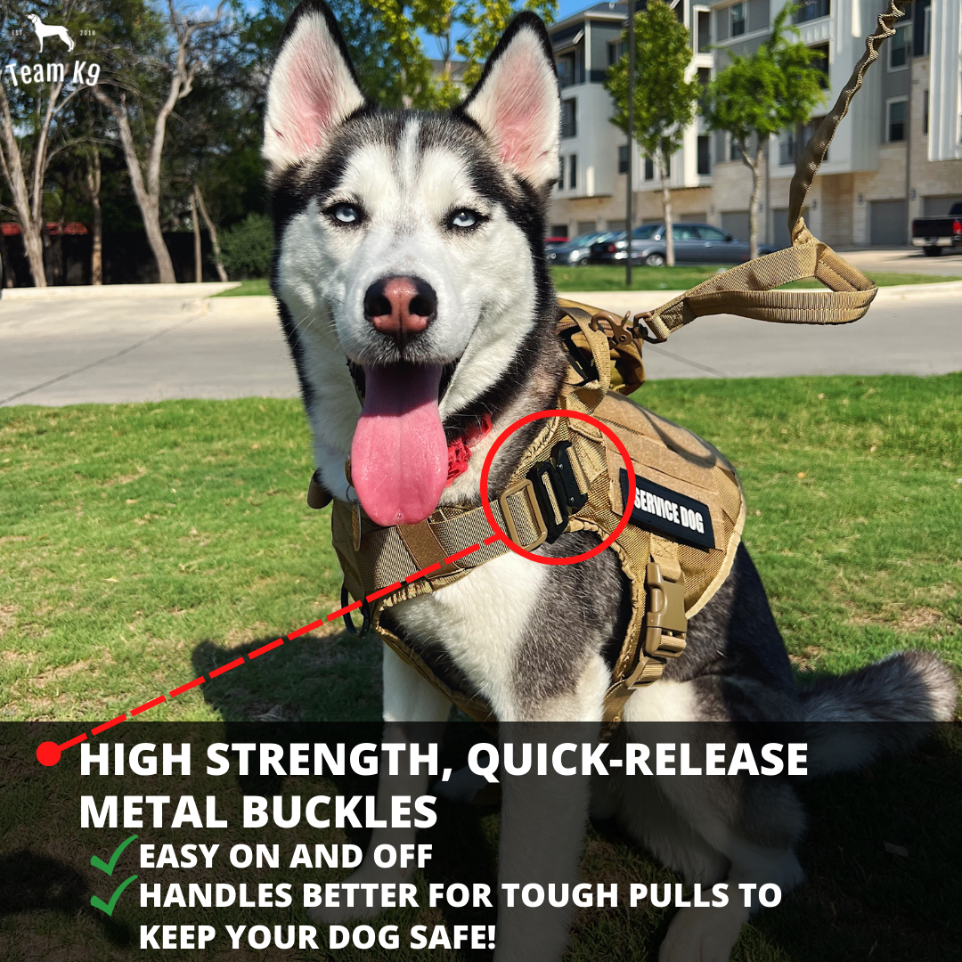 10-In-1 Tactical K9 Harness System - Full Set Dog Harness Bundle (Includes: Tactical No-Pull Dog Harness + Bungee Leash + Collar + MOLLE Pouches + First Aid Kit + 12 Hook & Loop Patches + Dog Goggles + Safety Belt + Travel Water Bowl + Dog Waste Bags)