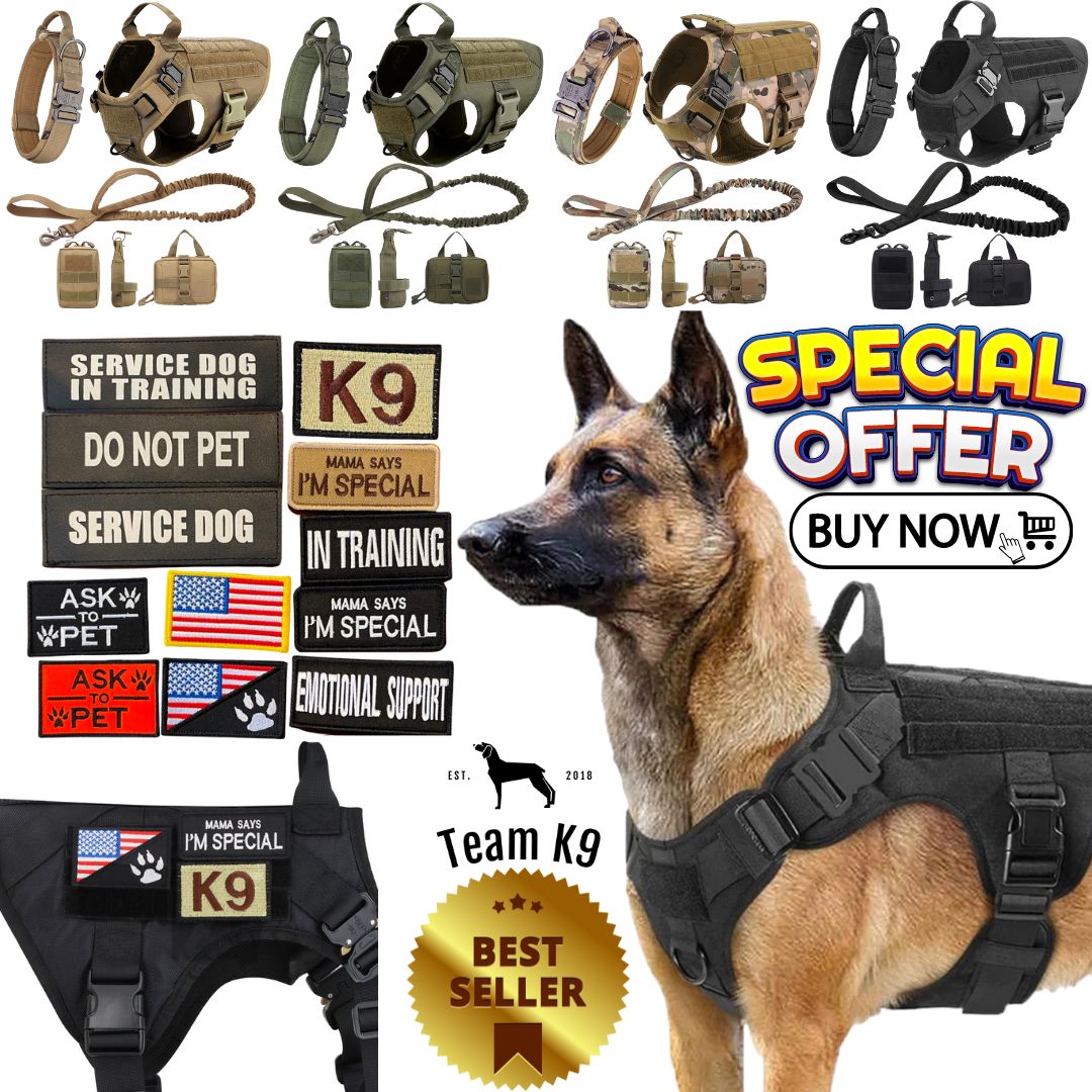 10-In-1 Tactical K9 Harness System - Full Set Dog Harness Bundle (Includes: Tactical No-Pull Dog Harness + Bungee Leash + Collar + MOLLE Pouches + First Aid Kit + 12 Hook & Loop Patches + Dog Goggles + Safety Belt + Travel Water Bowl + Dog Waste Bags)