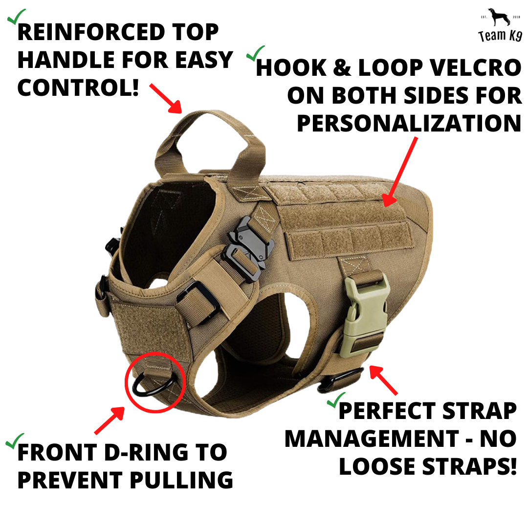 10-In-1 Tactical K9 Harness System - Full Set Dog Harness Bundle (Includes: Tactical No-Pull Dog Harness + Bungee Leash + Collar + MOLLE Pouches + First Aid Kit + 12 Hook & Loop Patches + Dog Goggles + Safety Belt + Travel Water Bowl + Dog Waste Bags)