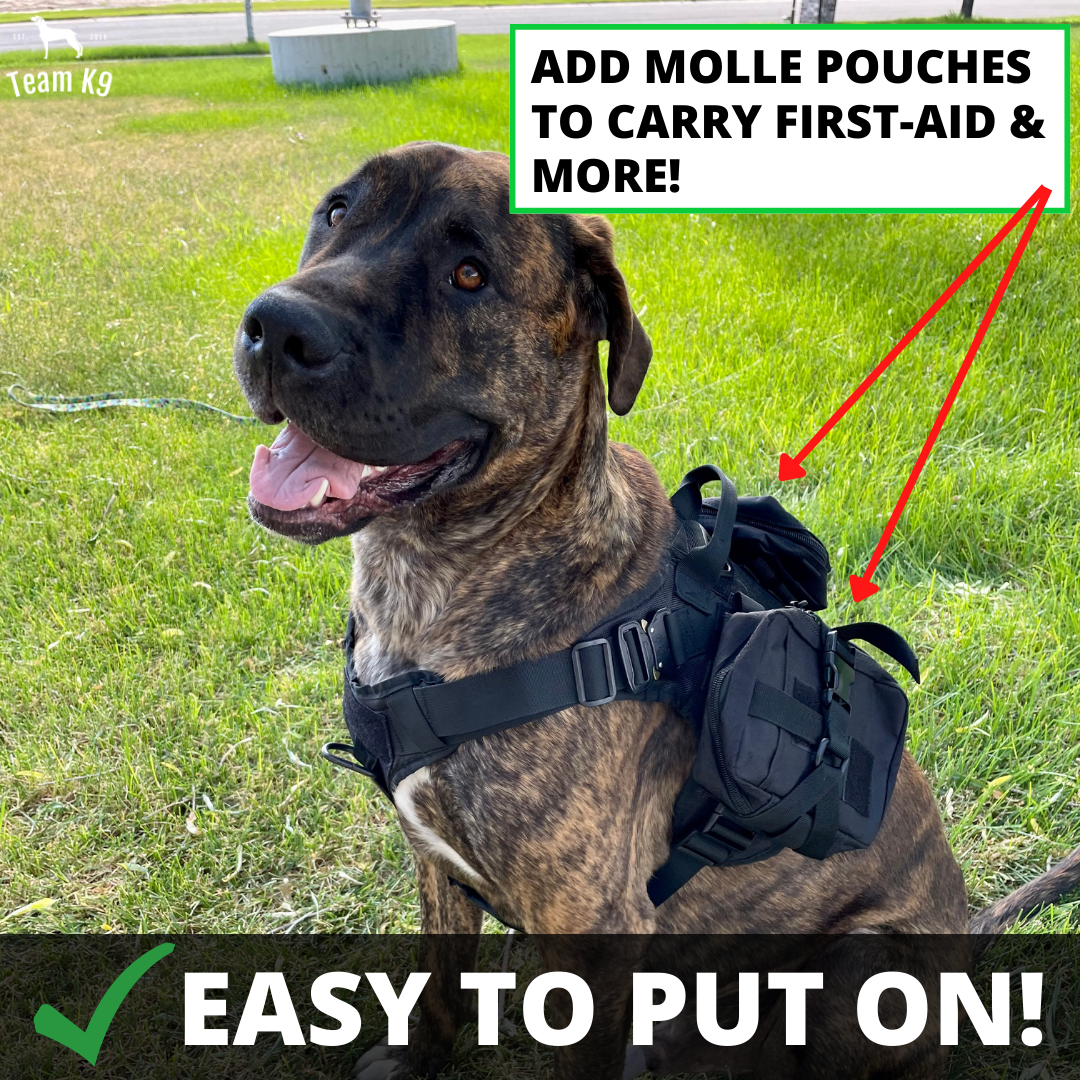 10-In-1 Tactical K9 Harness System - Full Set Dog Harness Bundle (Includes: Tactical No-Pull Dog Harness + Bungee Leash + Collar + MOLLE Pouches + First Aid Kit + 12 Hook & Loop Patches + Dog Goggles + Safety Belt + Travel Water Bowl + Dog Waste Bags)