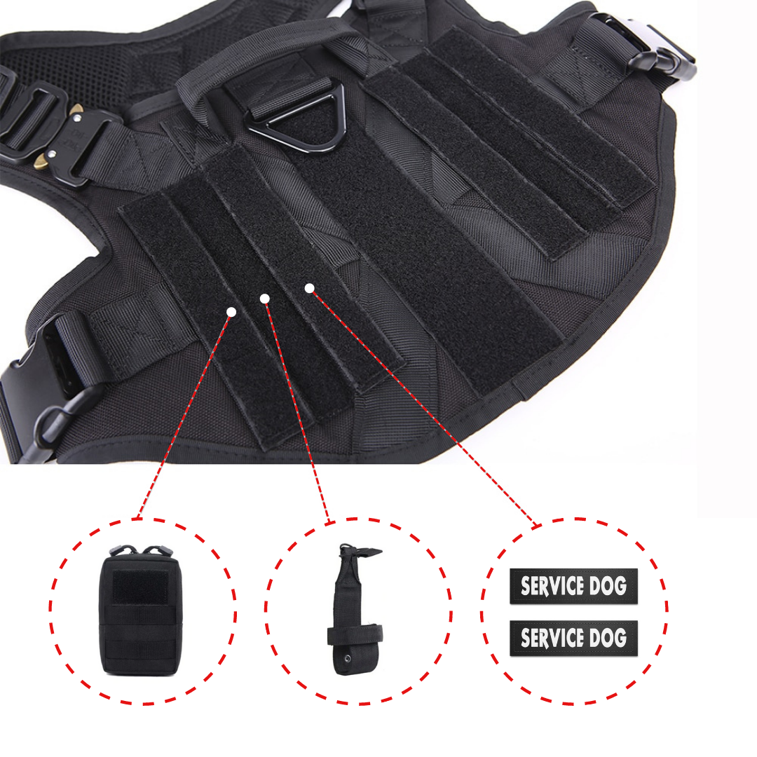 10-In-1 Tactical K9 Harness System - Full Set Dog Harness Bundle (Includes: Tactical No-Pull Dog Harness + Bungee Leash + Collar + MOLLE Pouches + First Aid Kit + 12 Hook & Loop Patches + Dog Goggles + Safety Belt + Travel Water Bowl + Dog Waste Bags)