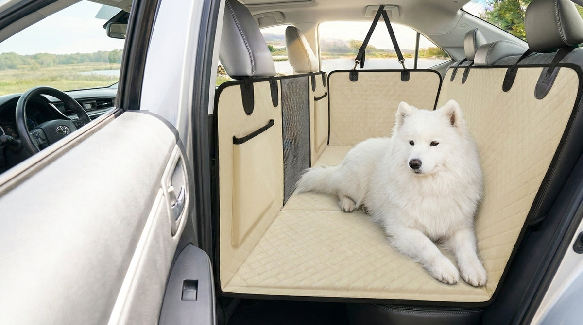 Samoyed riding on the Beige Team K9 hard-bottom car seat cover