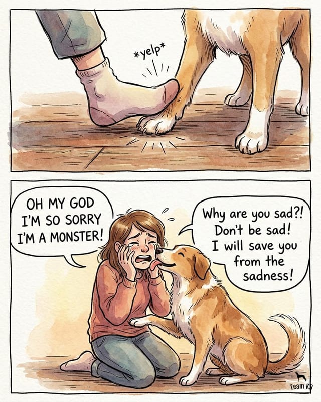 Comic: someone steps on the dog's paw and falls apart apologizing. The dog rushes to comfort her.