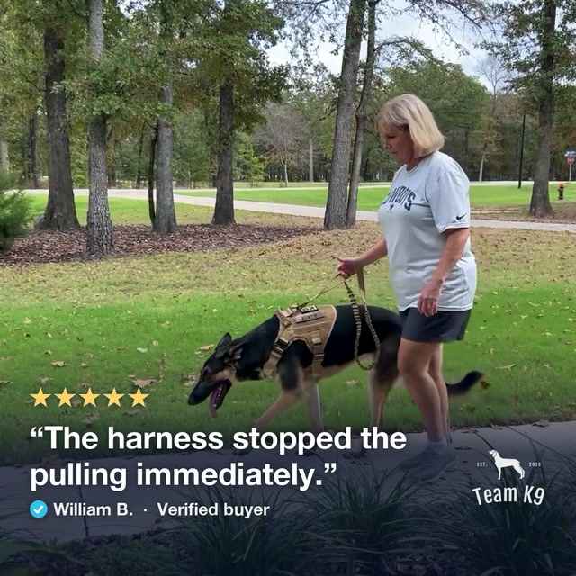 Clips from verified customer review videos: dogs walking in the Team K9 Classic no-pull harness