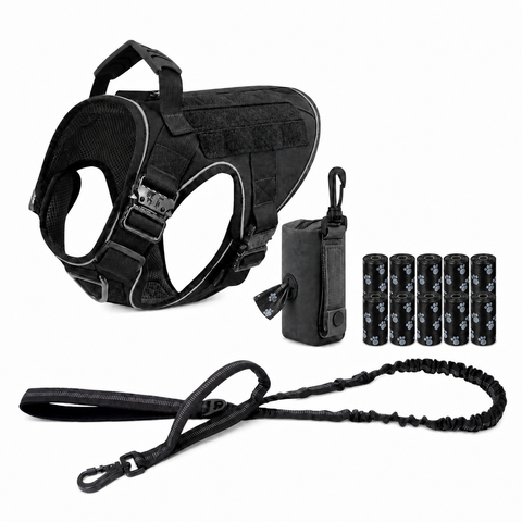 Harness + Bungee Leash + Waste Bag Pouch