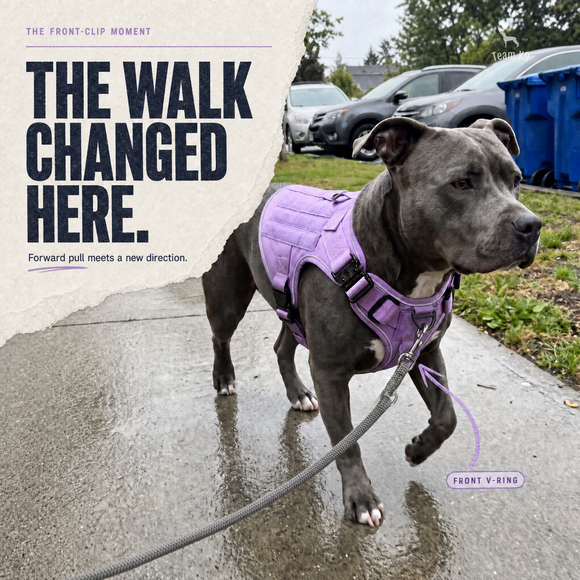 TK9 Swipe Story tk9-pdp-swipe-story-20260716 | all-metal-tactical-harness | 01 | The walk changed here