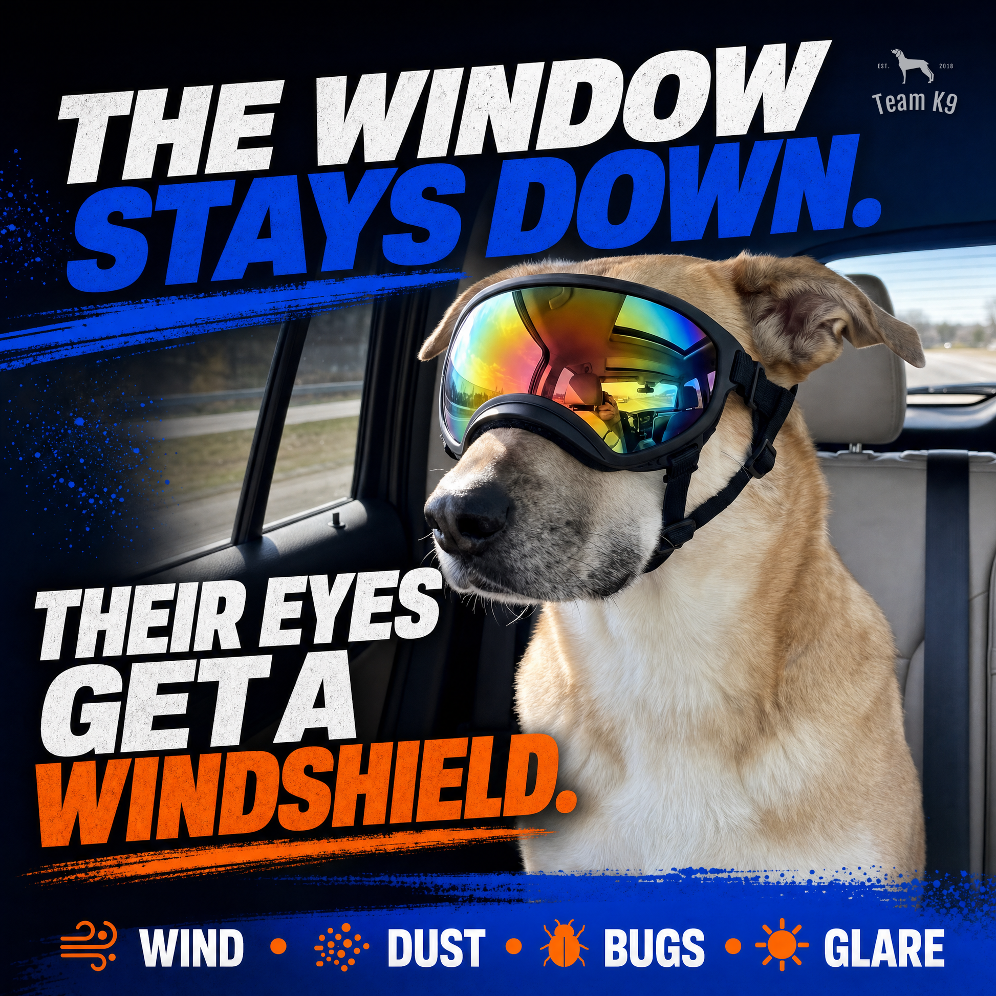 TK9 Swipe Story tk9-pdp-swipe-story-20260716 | dog-goggles | 01 | The window stays down