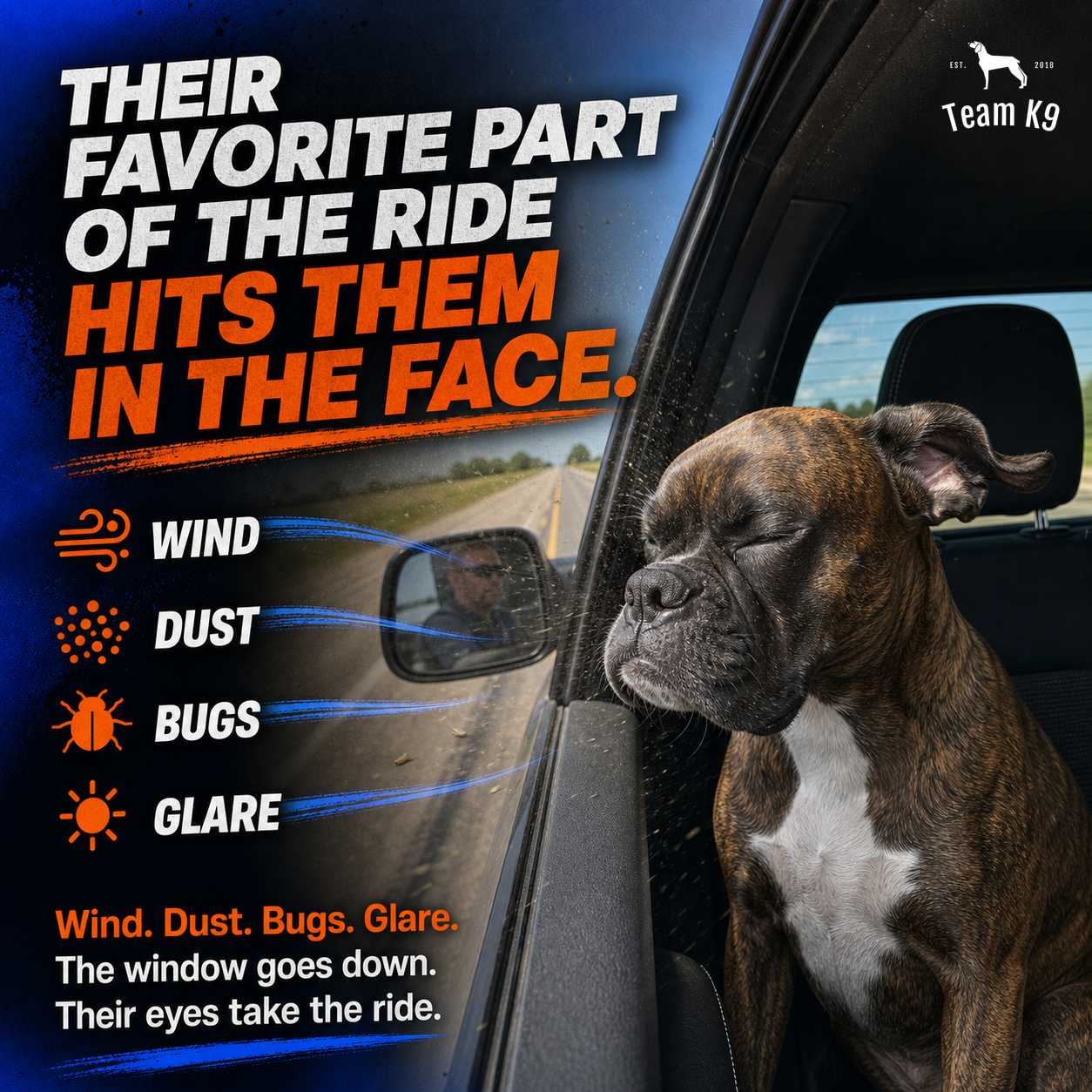 TK9 Nightmare Swipe Story tk9-main-five-nightmare-swipe-story-append-20260720 | dog-goggles | The window stayed down and the grit came in
