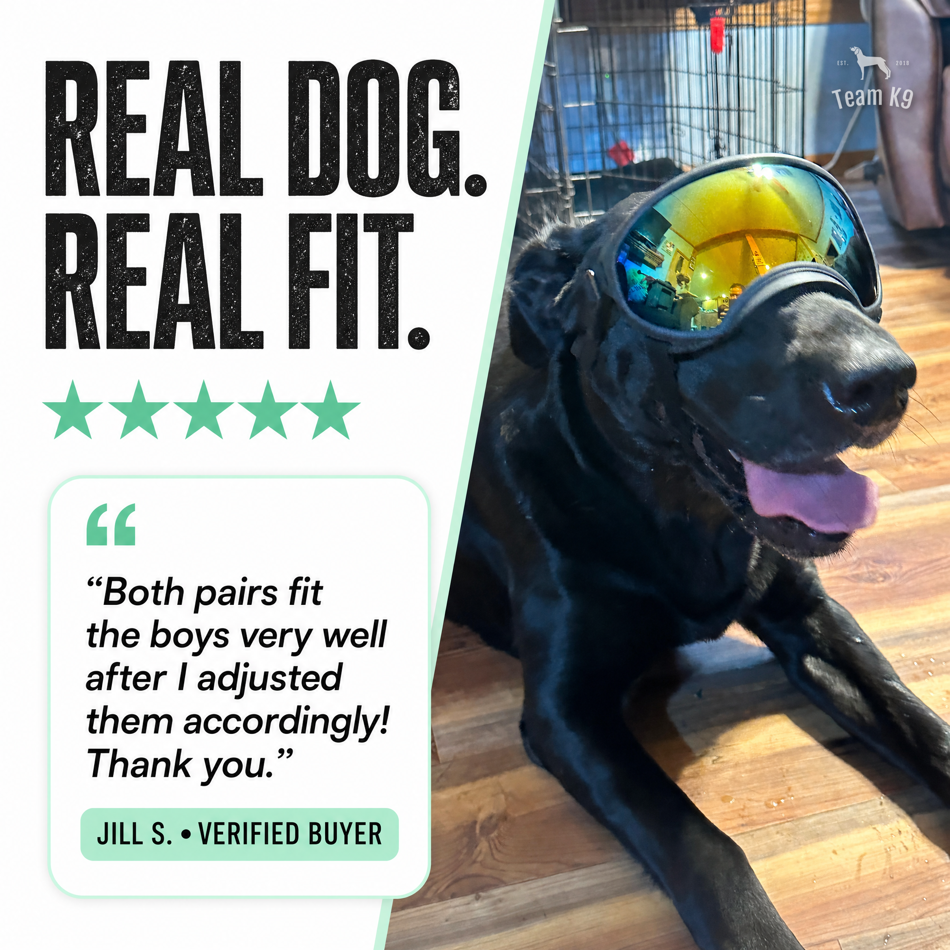 TK9 Swipe Story tk9-pdp-swipe-story-20260716 | dog-goggles | 05 | Jill customer review