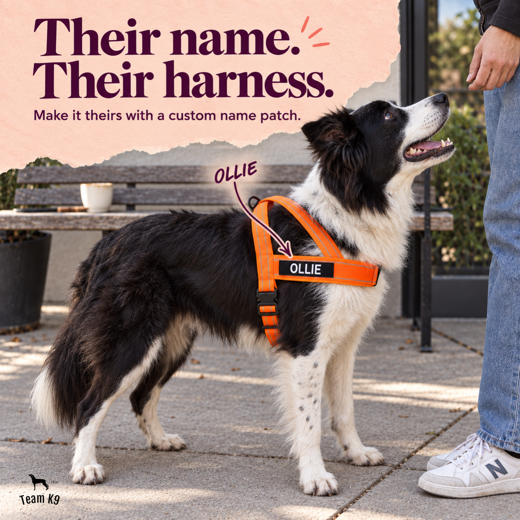 NEW Team K9® Lightweight Personalized No Pull Dog Harness with a Quick-Release Metal Buckle, Reinforced Front & Back V-Rings, Hook & Loop Panels, Padded Adjustable Straps, Top Handle, & Reflective Stitching