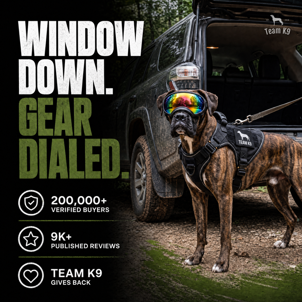 TK9 Swipe Story tk9-pdp-swipe-story-20260716 | dog-goggles | 07 | Window down, gear dialed