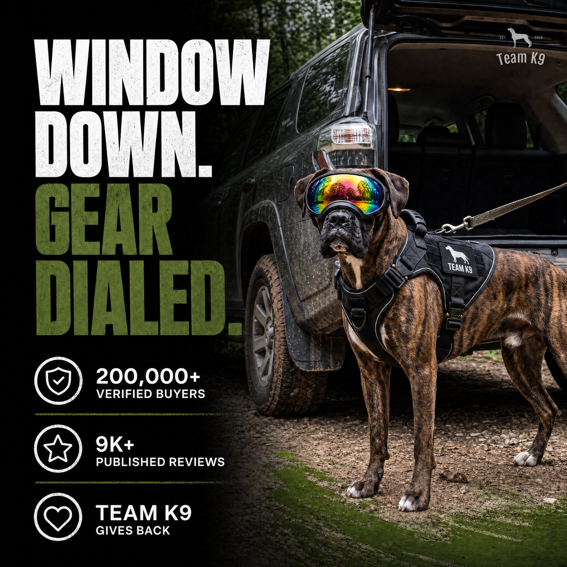 TK9 Swipe Story tk9-pdp-swipe-story-20260716 | dog-goggles | 07 | Window down, gear dialed