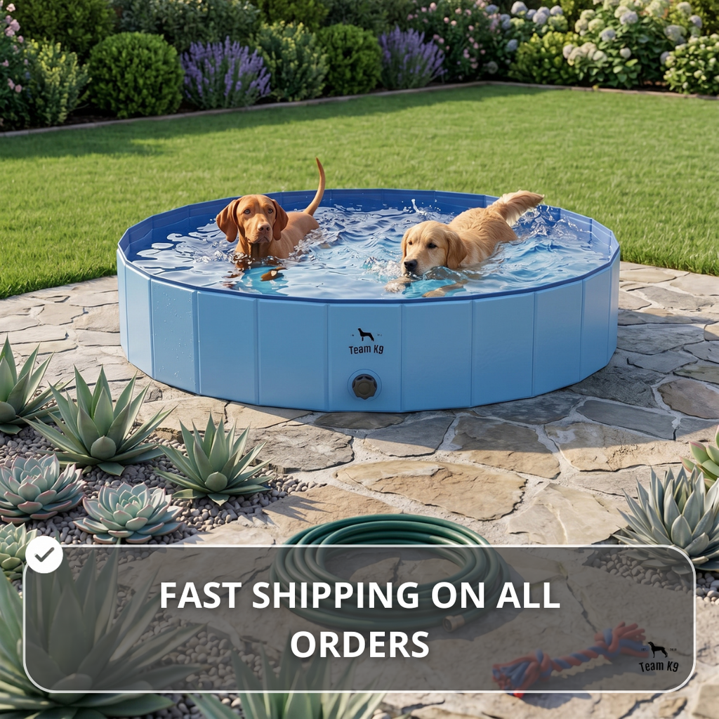 NEW Pop-Up Foldable Outdoor Dog Bath & Swimming Pool With Side Drain (Aqua Blue)