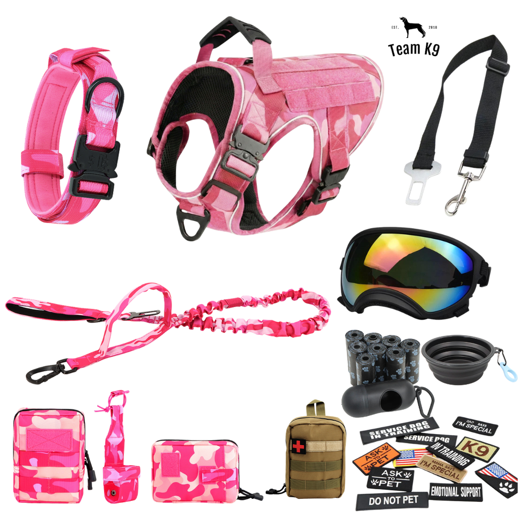 10-In-1 Tactical K9 Harness System - Full Set Dog Harness Bundle (Includes: Tactical No-Pull Dog Harness + Bungee Leash + Collar + MOLLE Pouches + First Aid Kit + 12 Hook & Loop Patches + Dog Goggles + Safety Belt + Travel Water Bowl + Dog Waste Bags)