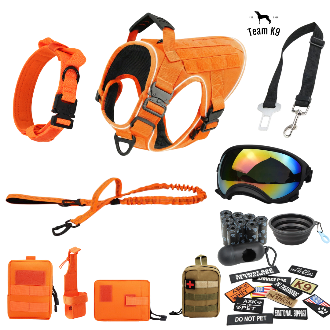 10-In-1 Tactical K9 Harness System - Full Set Dog Harness Bundle (Includes: Tactical No-Pull Dog Harness + Bungee Leash + Collar + MOLLE Pouches + First Aid Kit + 12 Hook & Loop Patches + Dog Goggles + Safety Belt + Travel Water Bowl + Dog Waste Bags)