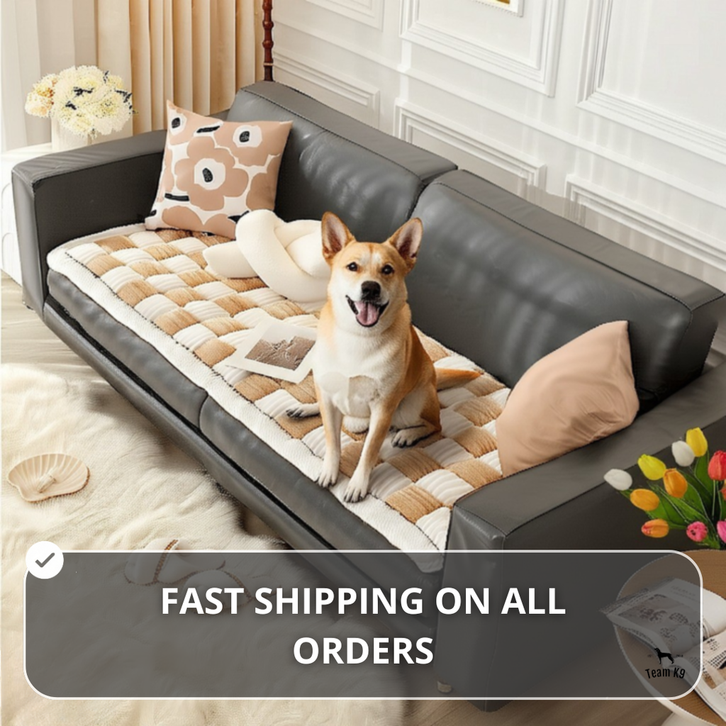 NEW 2-in-1 Furniture Protector & Dog Bed Couch Cover with Thick Orthopedic Padding, Non-Slip Grip, Scratch-Resistant Surface & Machine-Washable Fabric