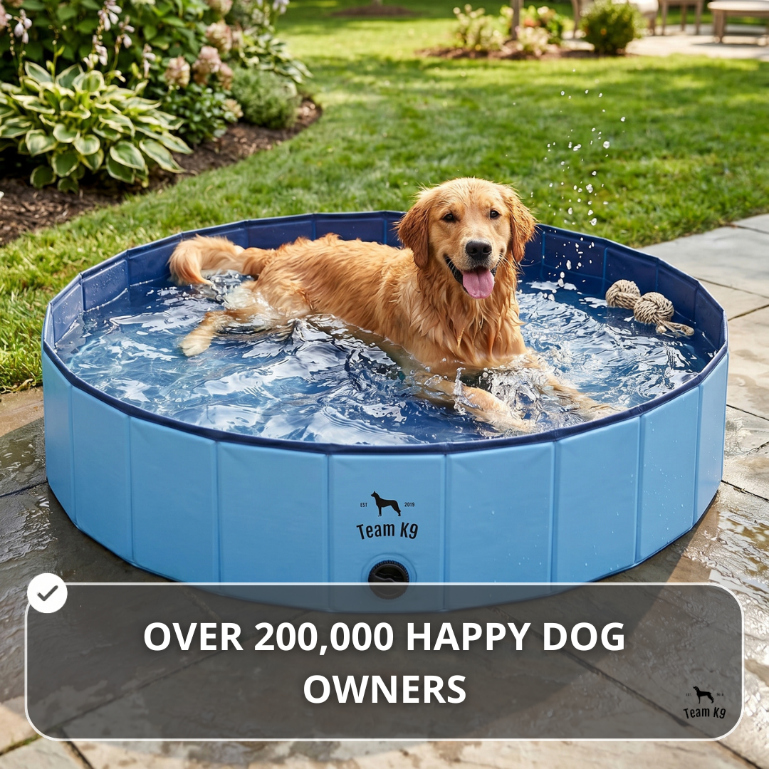NEW Pop-Up Foldable Outdoor Dog Bath & Swimming Pool With Side Drain (Aqua Blue)
