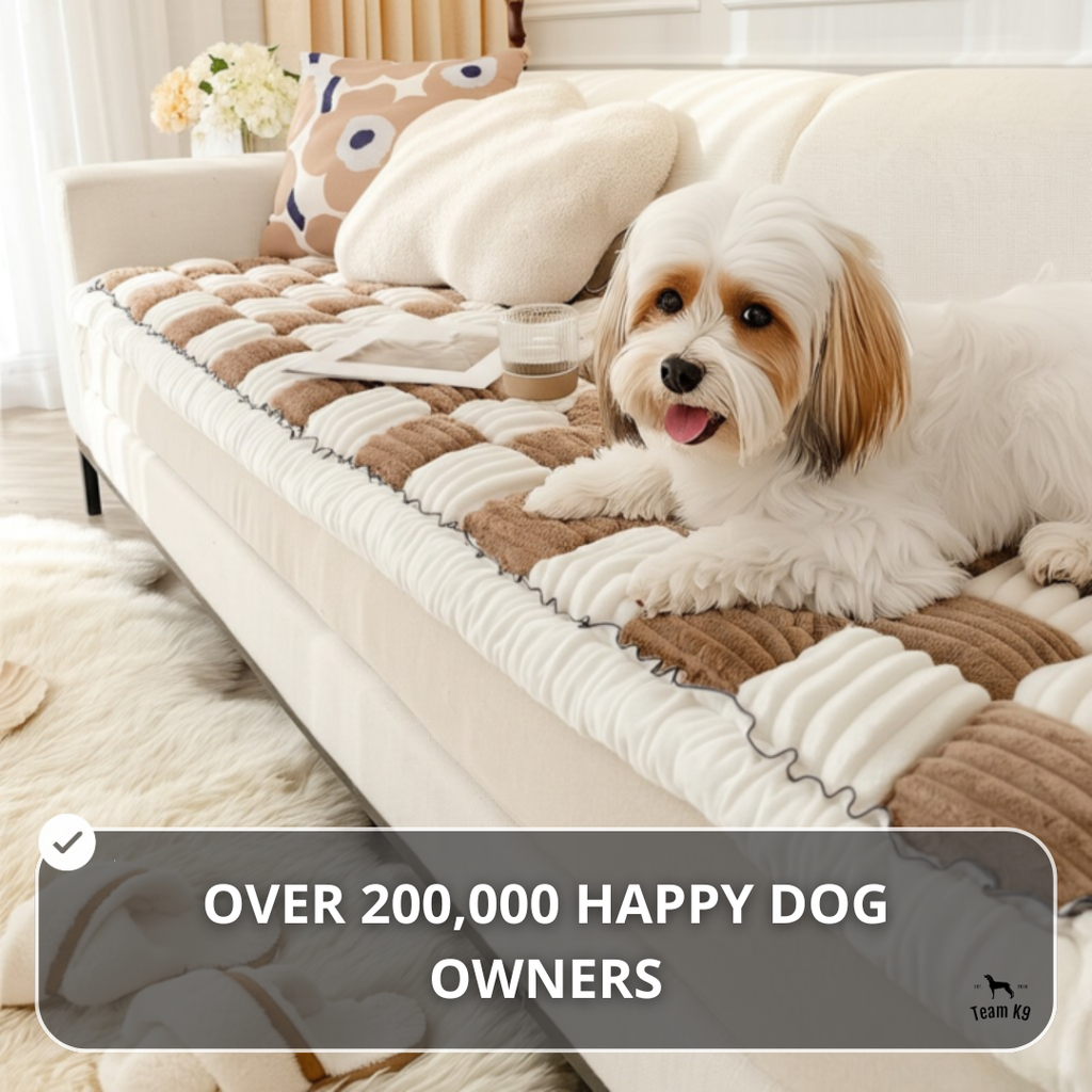 NEW 2-in-1 Furniture Protector & Dog Bed Couch Cover with Thick Orthopedic Padding, Non-Slip Grip, Scratch-Resistant Surface & Machine-Washable Fabric