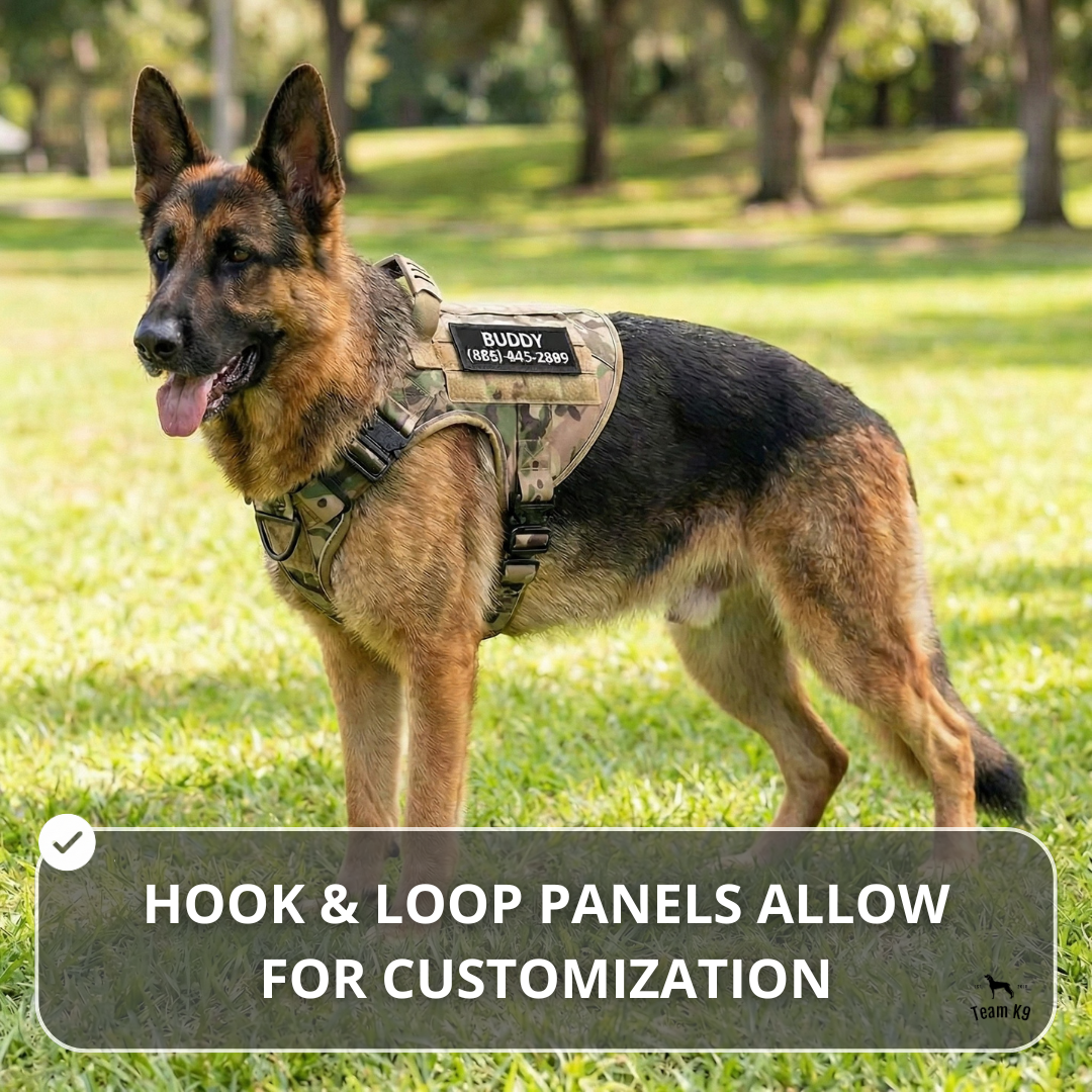 10-In-1 Tactical K9 Harness System - Full Set Dog Harness Bundle (Includes: Tactical No-Pull Dog Harness + Bungee Leash + Collar + MOLLE Pouches + First Aid Kit + 12 Hook & Loop Patches + Dog Goggles + Safety Belt + Travel Water Bowl + Dog Waste Bags)