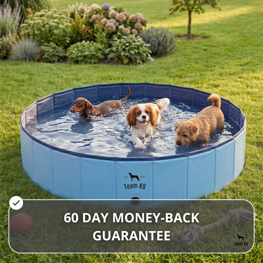 NEW Pop-Up Foldable Outdoor Dog Bath & Swimming Pool With Side Drain (Aqua Blue)