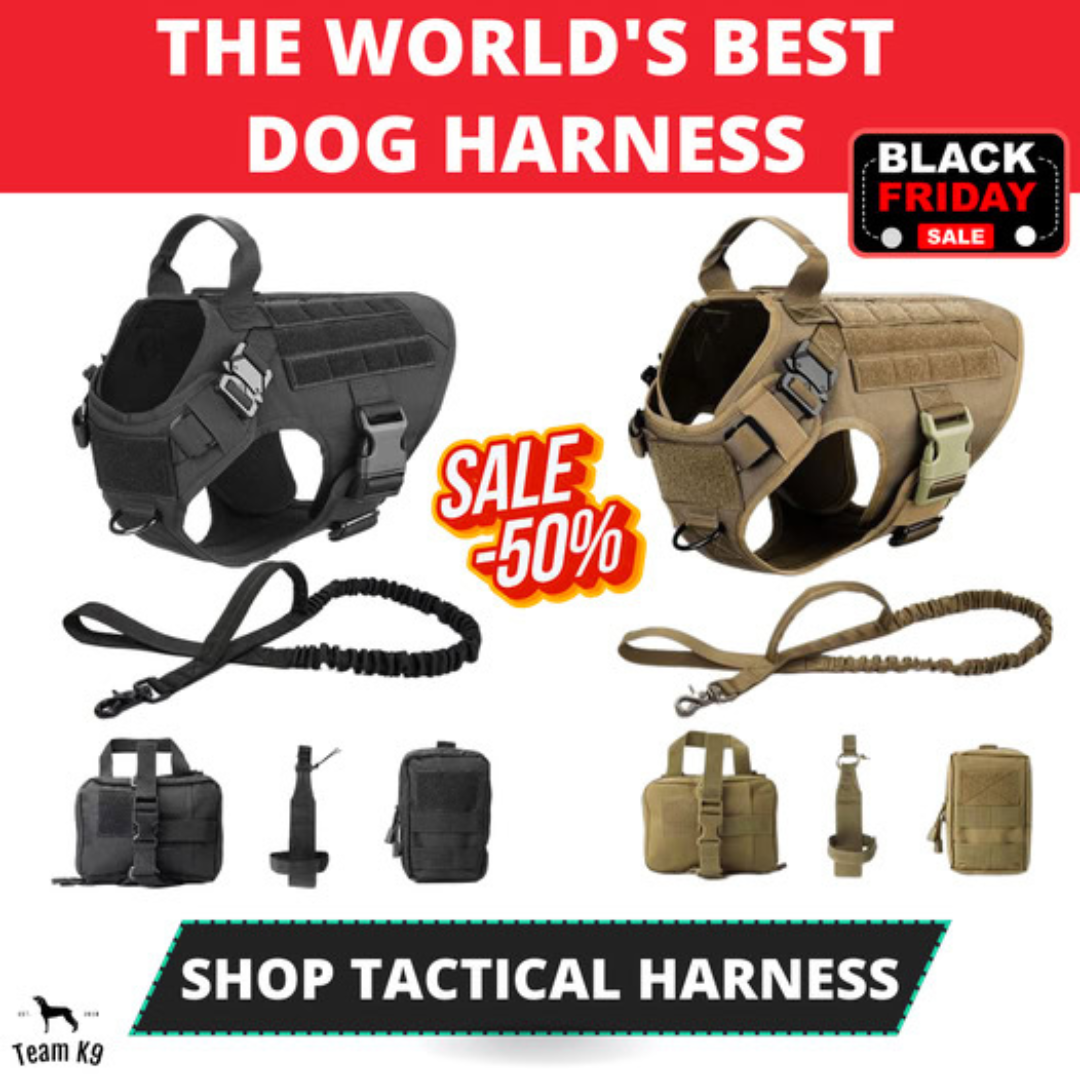 Classic Heavy-Duty Tactical No-Pull Team K9™ Dog Harness With Front & Back D-Rings, Quick-Release Metal-Buckles, Hook & Loop Panels, & Top Handle