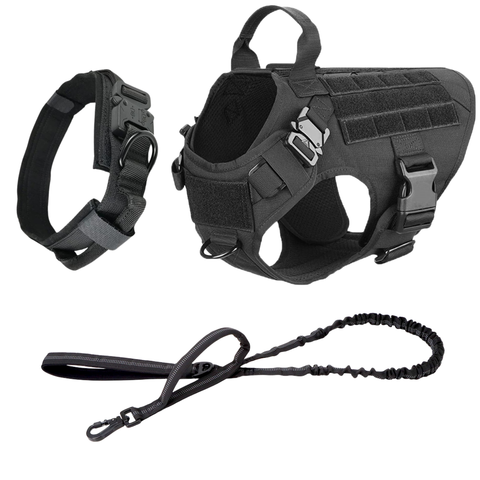 Harness + Bungee Leash + Tactical Collar