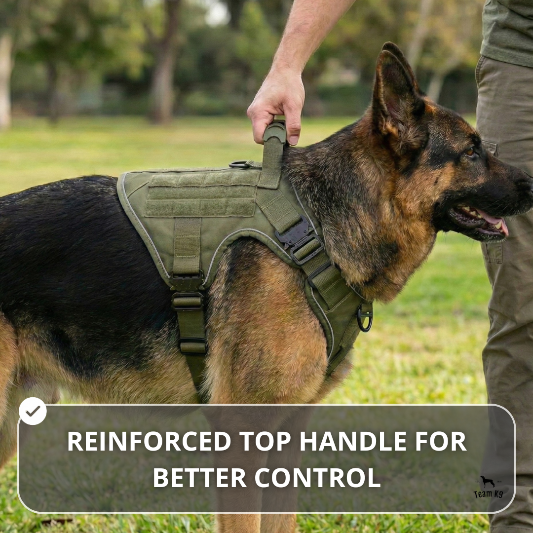 10-In-1 Tactical K9 Harness System - Full Set Dog Harness Bundle (Includes: Tactical No-Pull Dog Harness + Bungee Leash + Collar + MOLLE Pouches + First Aid Kit + 12 Hook & Loop Patches + Dog Goggles + Safety Belt + Travel Water Bowl + Dog Waste Bags)