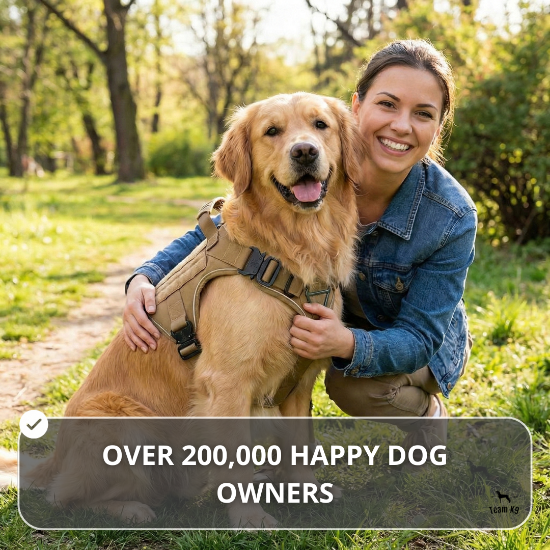 10-In-1 Tactical K9 Harness System - Full Set Dog Harness Bundle (Includes: Tactical No-Pull Dog Harness + Bungee Leash + Collar + MOLLE Pouches + First Aid Kit + 12 Hook & Loop Patches + Dog Goggles + Safety Belt + Travel Water Bowl + Dog Waste Bags)