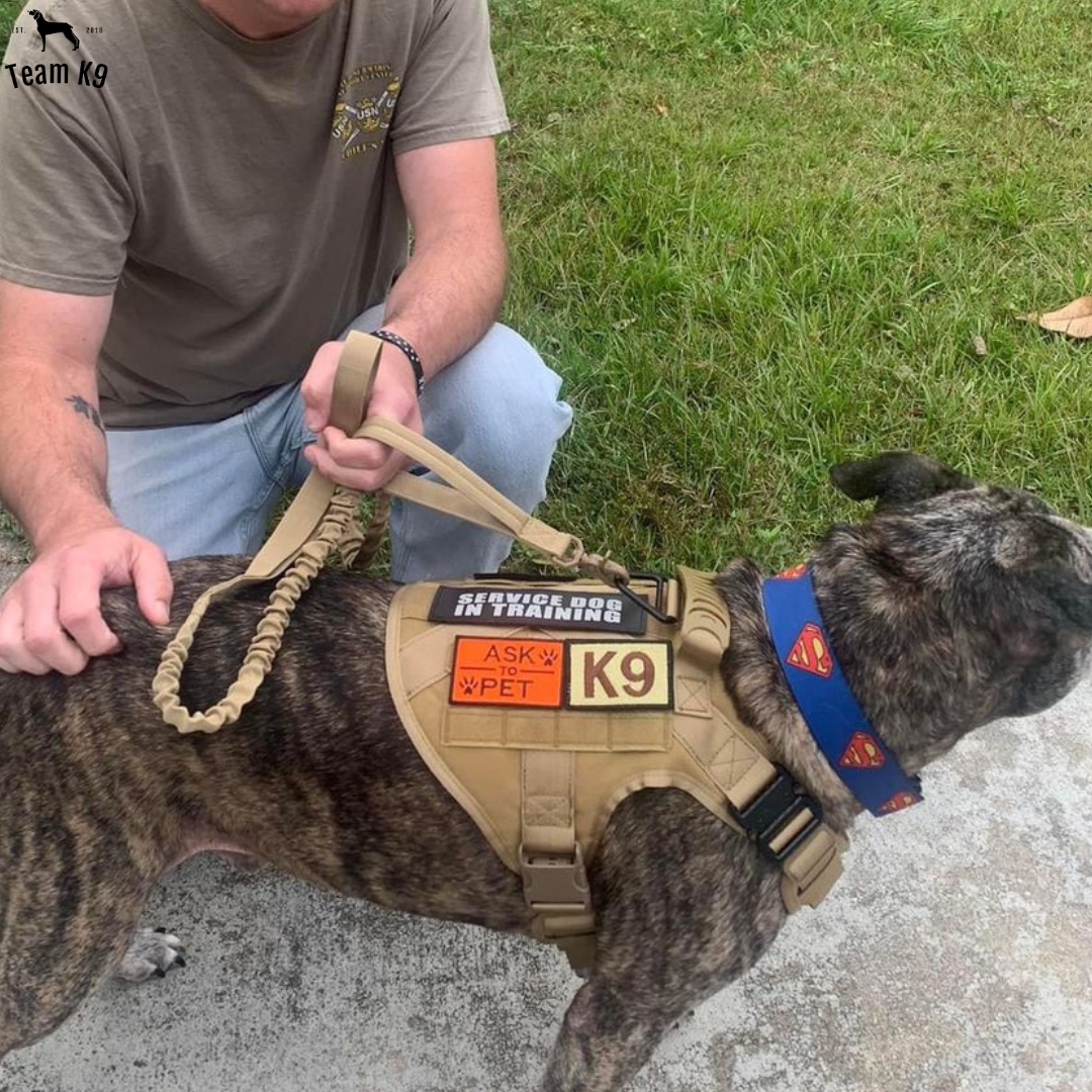 Best service dog vests 2018 deals