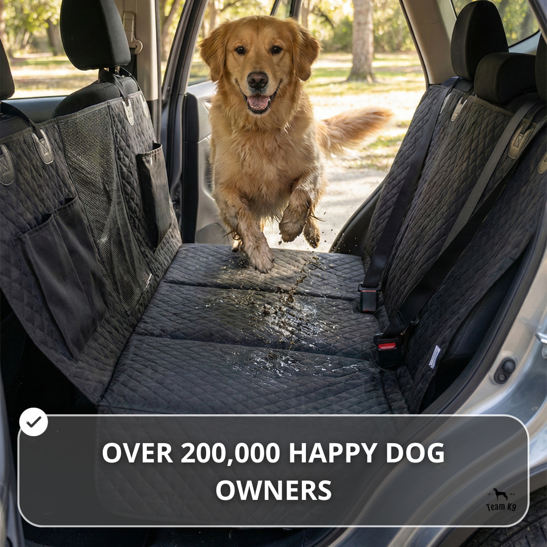 NEW Waterproof Hard Bottom Car & Truck Seat Foldable Hammock Cover With Storage Pockets, Side Flaps, Headrest Straps, Seat Anchors, & Mesh Window (+FREE SAFETY BELT!)