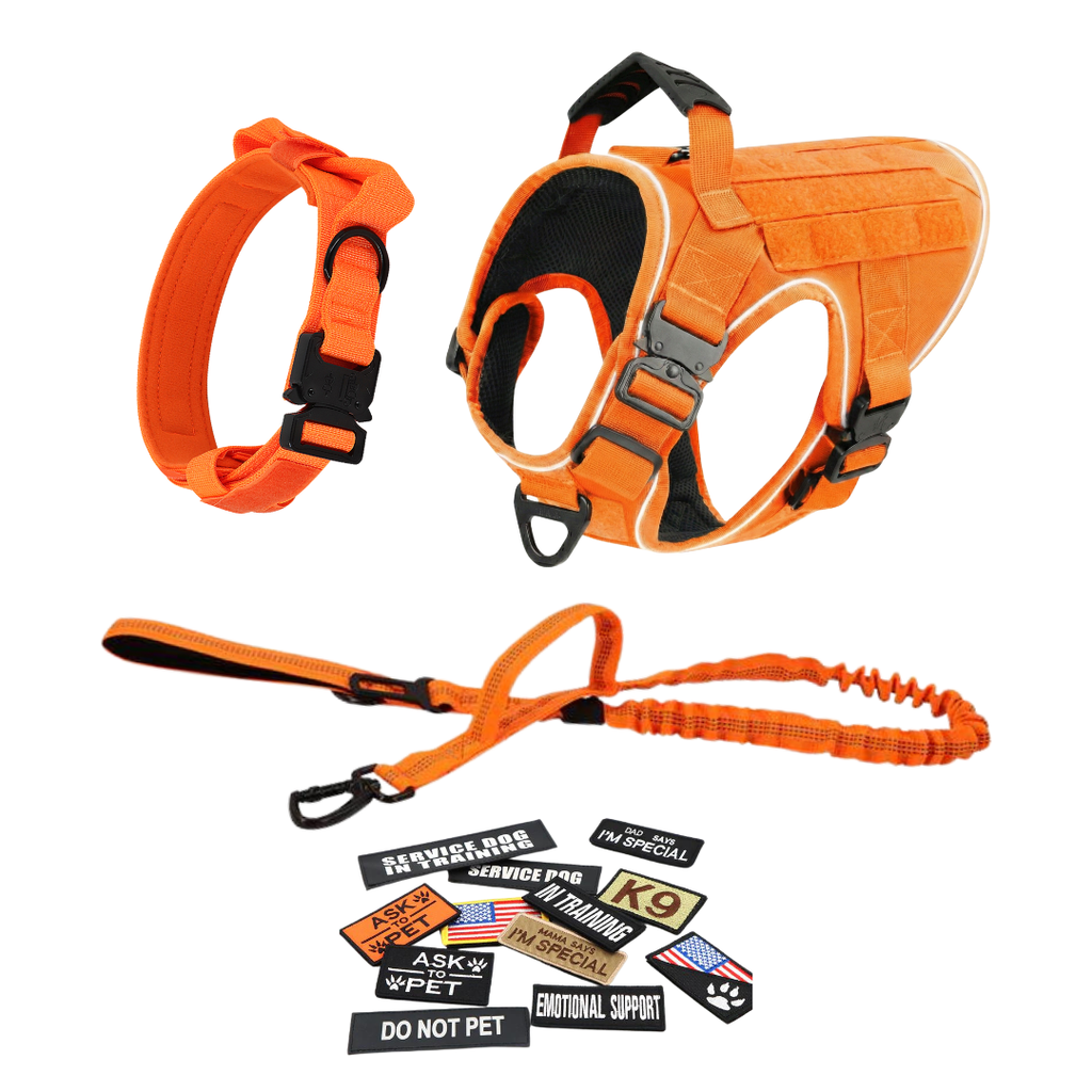 NEW Upgraded Tactical No-Pull Team K9® Dog Harness with 4 Quick-Release Metal Buckles, Reinforced Front & Back V-Rings, Hook & Loop Panels, Adjustable Straps, Reflective Strips, & Top Handle