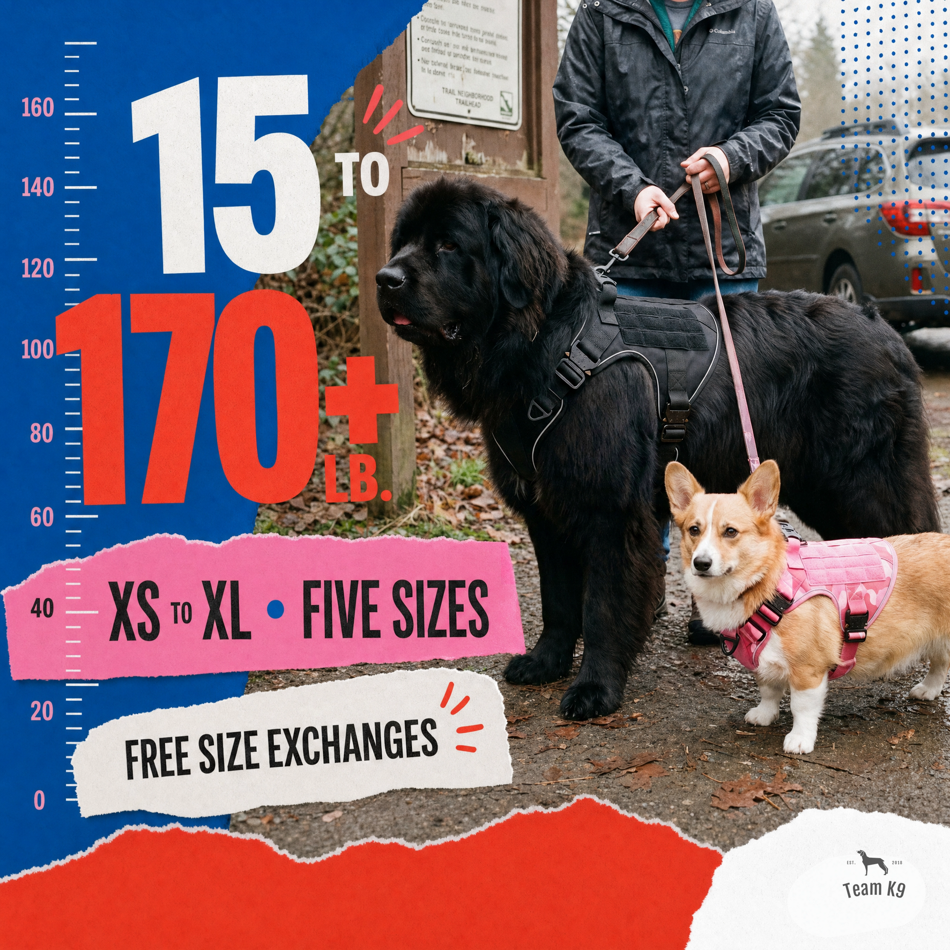TK9 Swipe Story tk9-pdp-swipe-story-20260716 | all-metal-tactical-harness | 08 | Fits dogs from 15 to 170 plus pounds