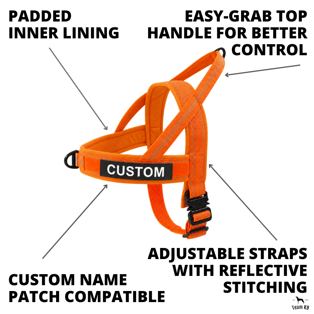 NEW Team K9® Lightweight Personalized No Pull Dog Harness
