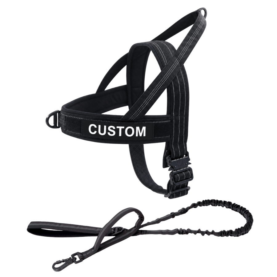 Team K9 lightweight harness with the matching double-handle bungee leash