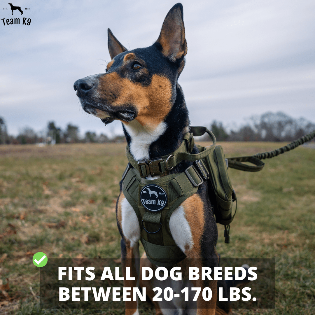 Classic Heavy-Duty Tactical No-Pull Team K9™ Dog Harness With Front & Back D-Rings, Quick-Release Metal-Buckles, Hook & Loop