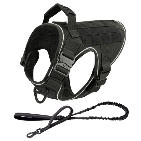 Harness + Bungee Leash