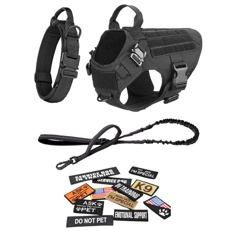 Harness + Bungee Leash + Tactical Collar + 12 Patch Bundle