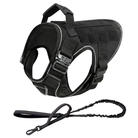 Harness + Bungee Leash
